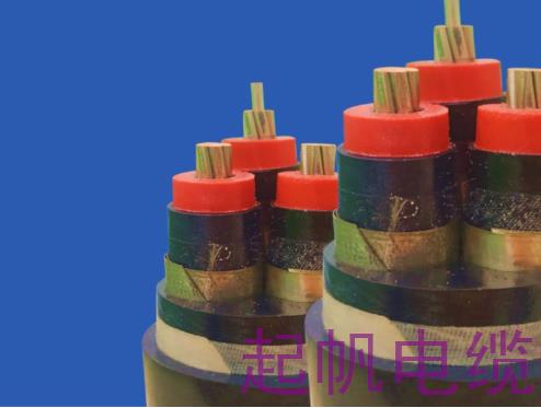 核用電纜 核用電纜